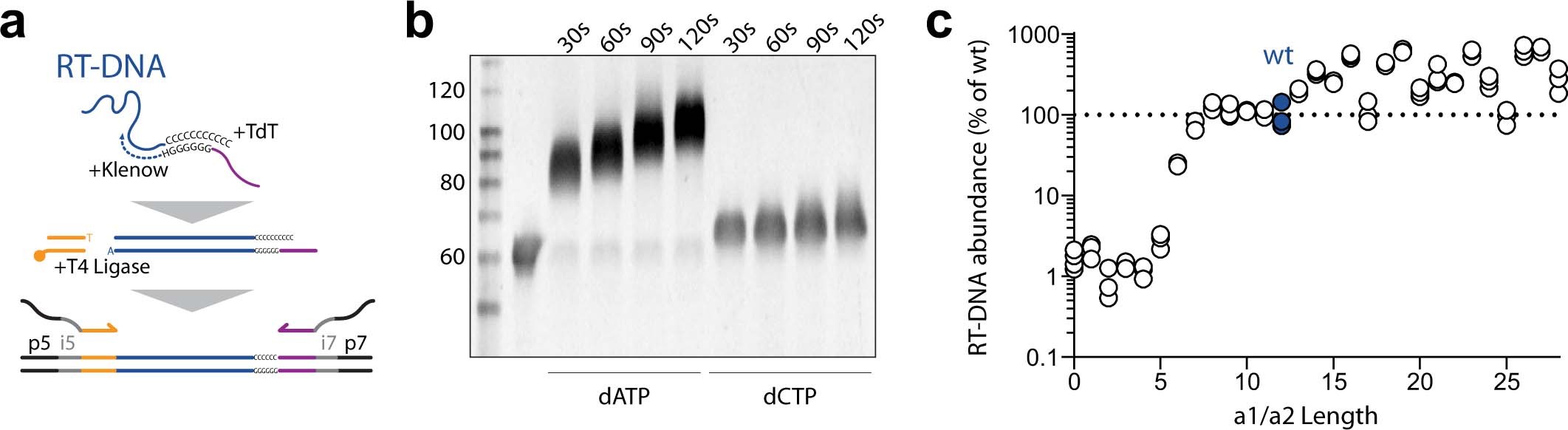 Extended Data Fig. 1