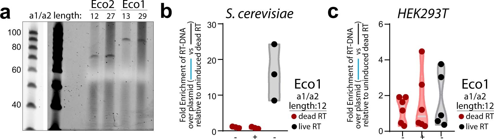 Extended Data Fig. 2