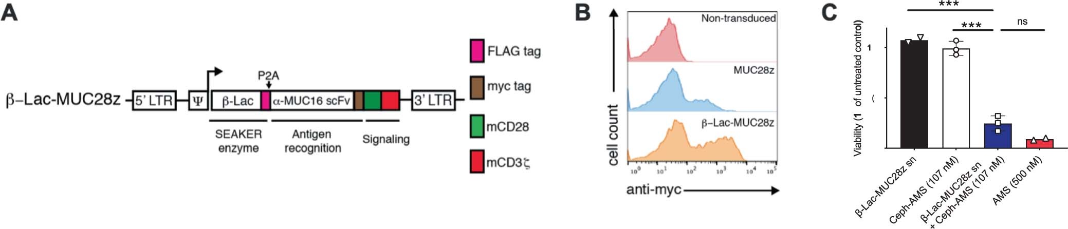 Extended Data Fig. 6