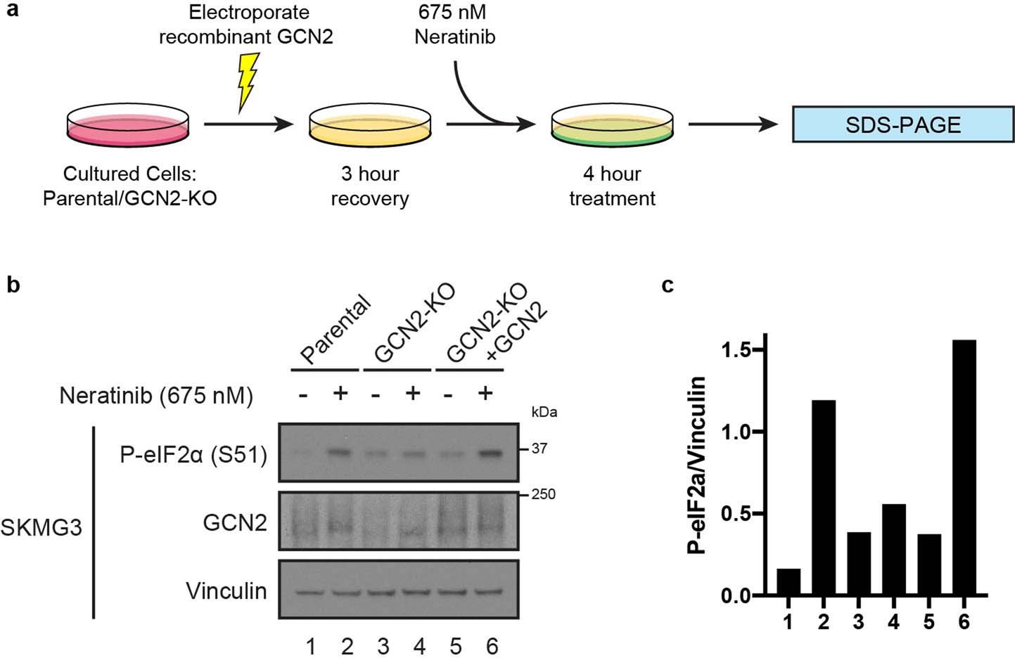 Extended Data Fig. 5