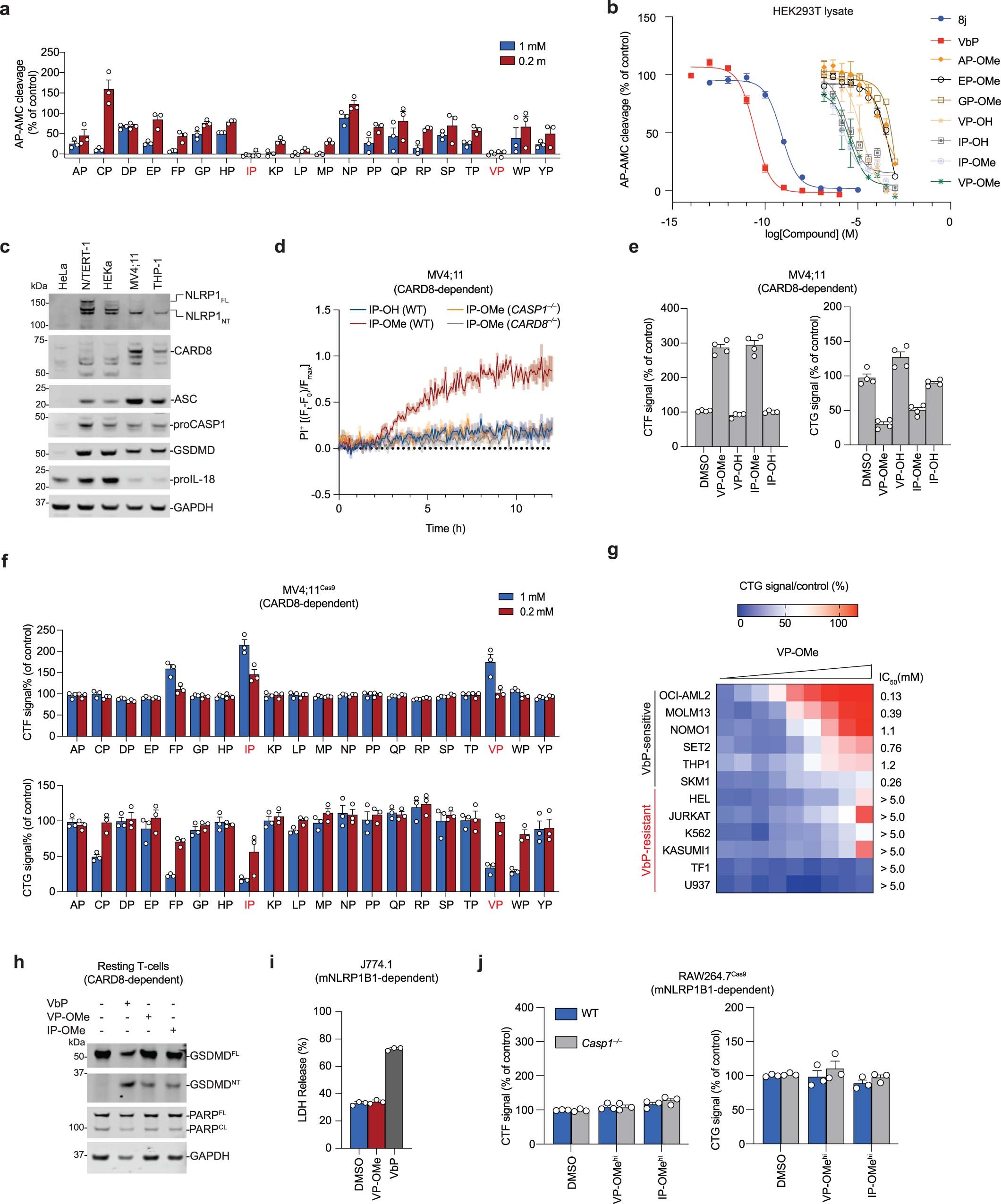 Extended Data Fig. 2: Certain Xaa-Pro dipeptides inhibit DPP9 and activate CARD8.