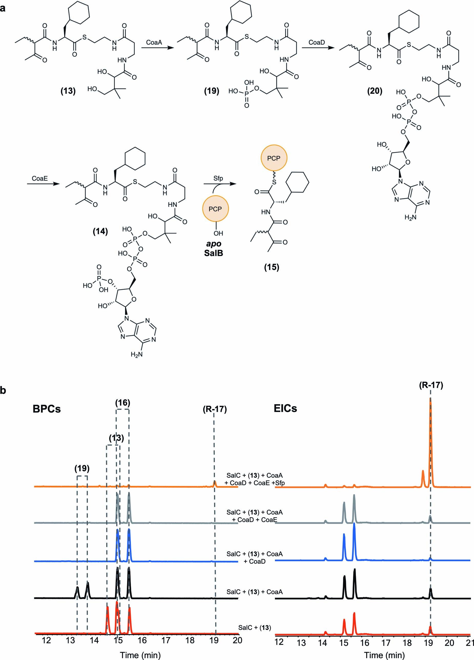 Extended Data Fig. 3