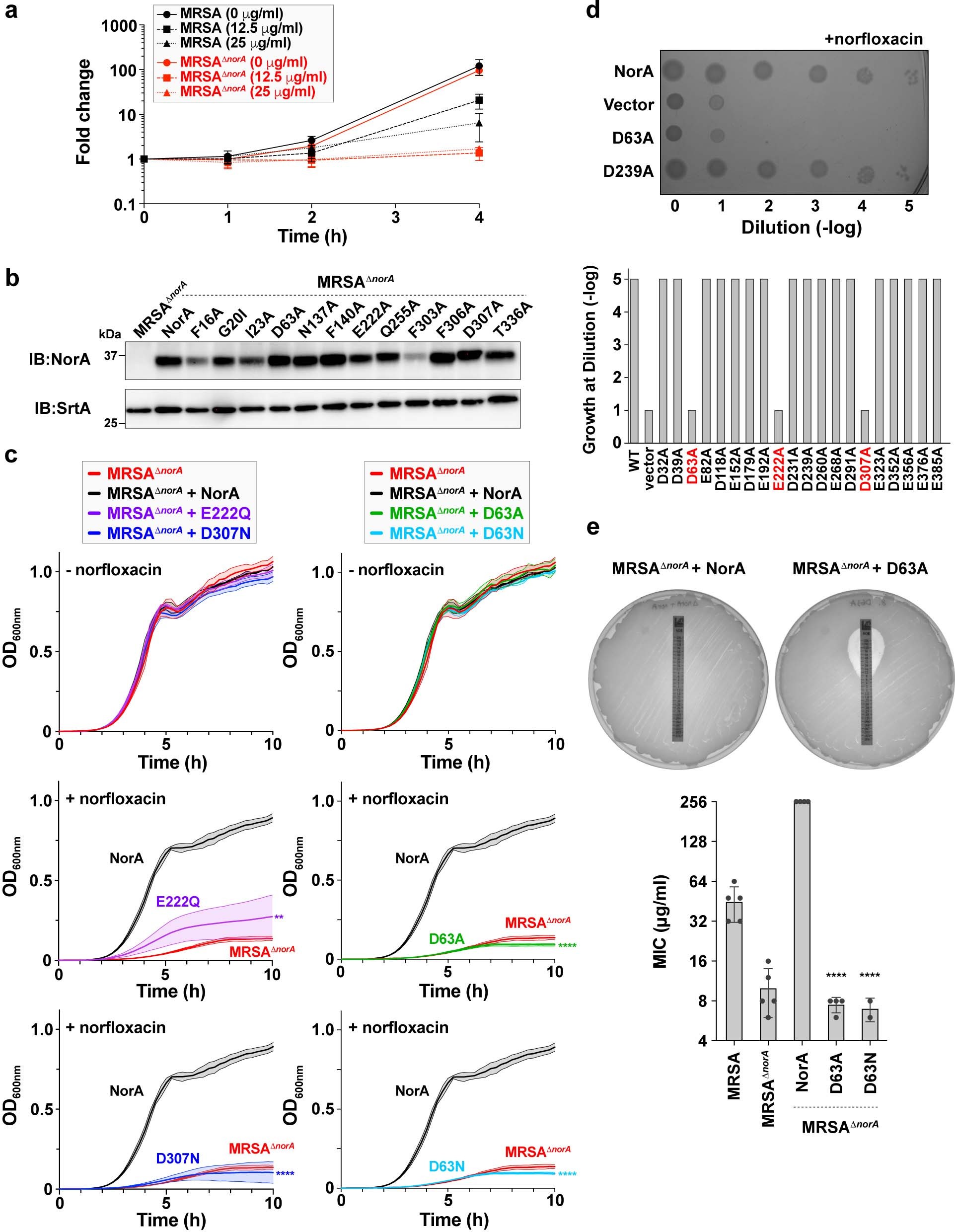 Extended Data Fig. 7