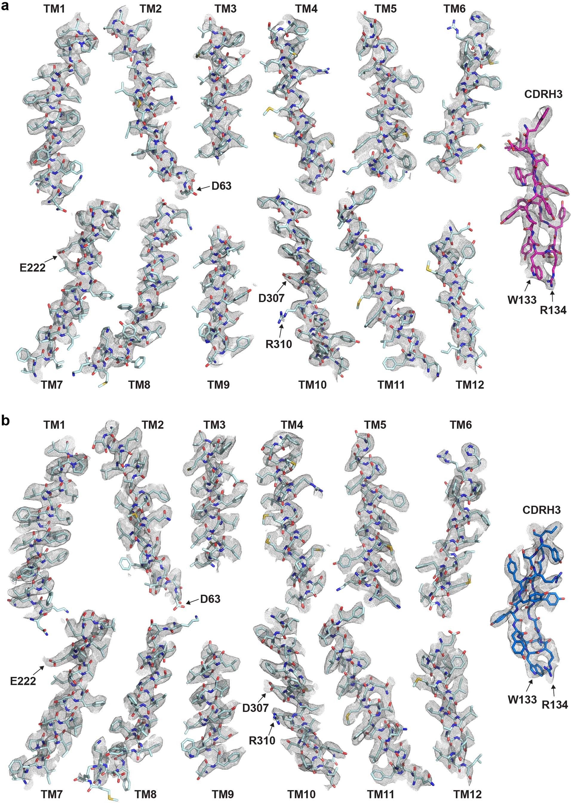 Extended Data Fig. 4