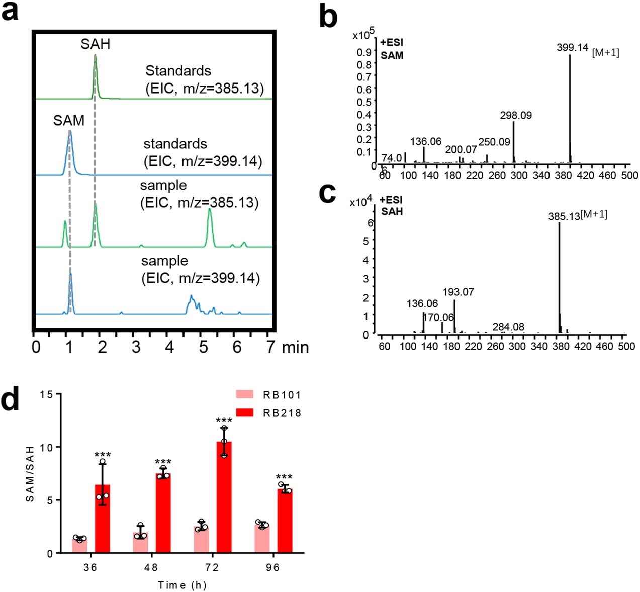Extended Data Fig. 9: Quantification of cellular SAM and SAH in FA producing strains.