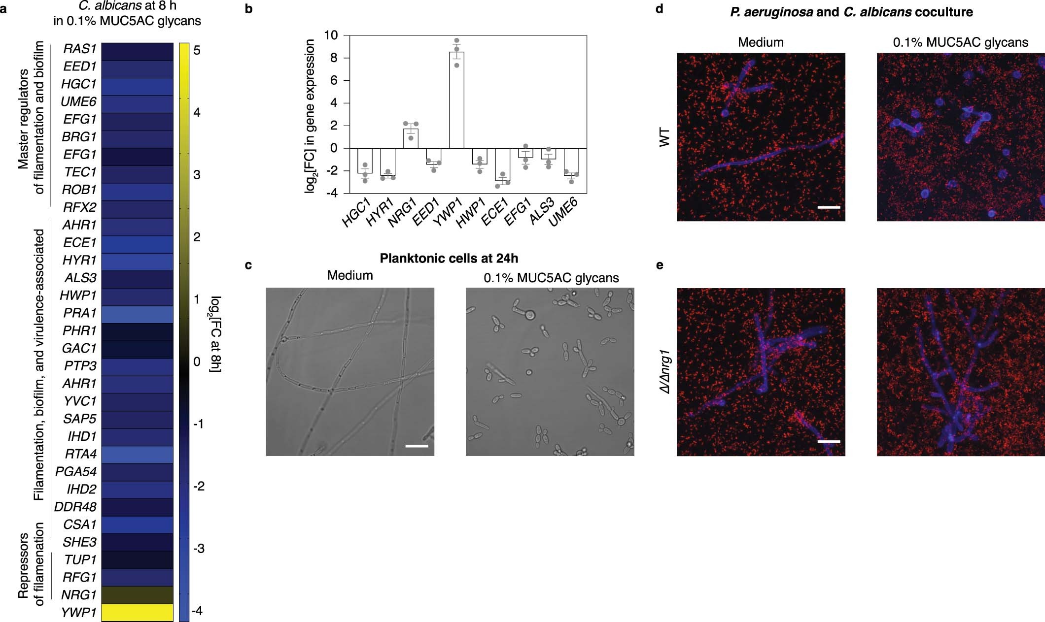 Extended Data Fig. 4