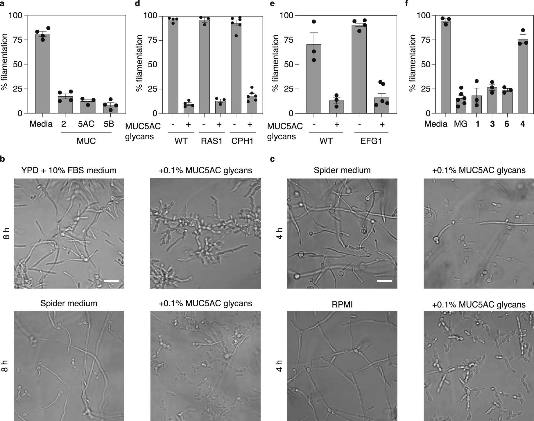 Extended Data Fig. 2