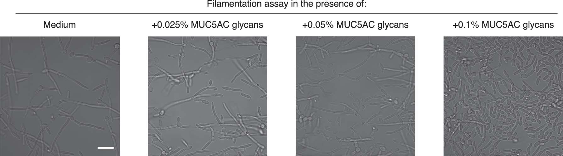 Extended Data Fig. 3