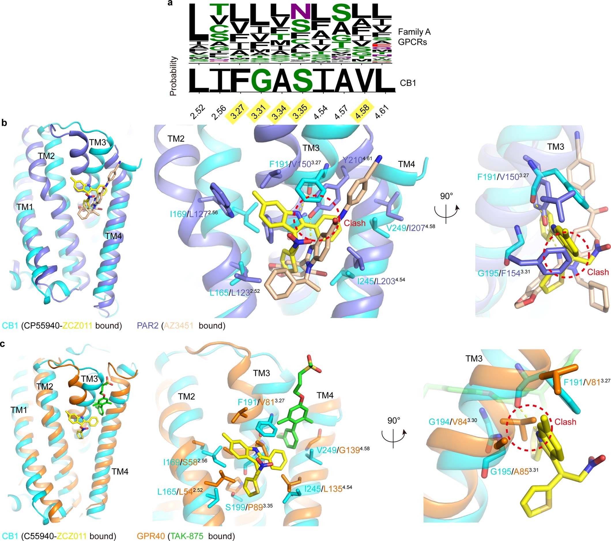 Extended Data Fig. 3: Comparison of allosteric sites of CB1 with that in other GPCRs (PAR2 and GPR40).