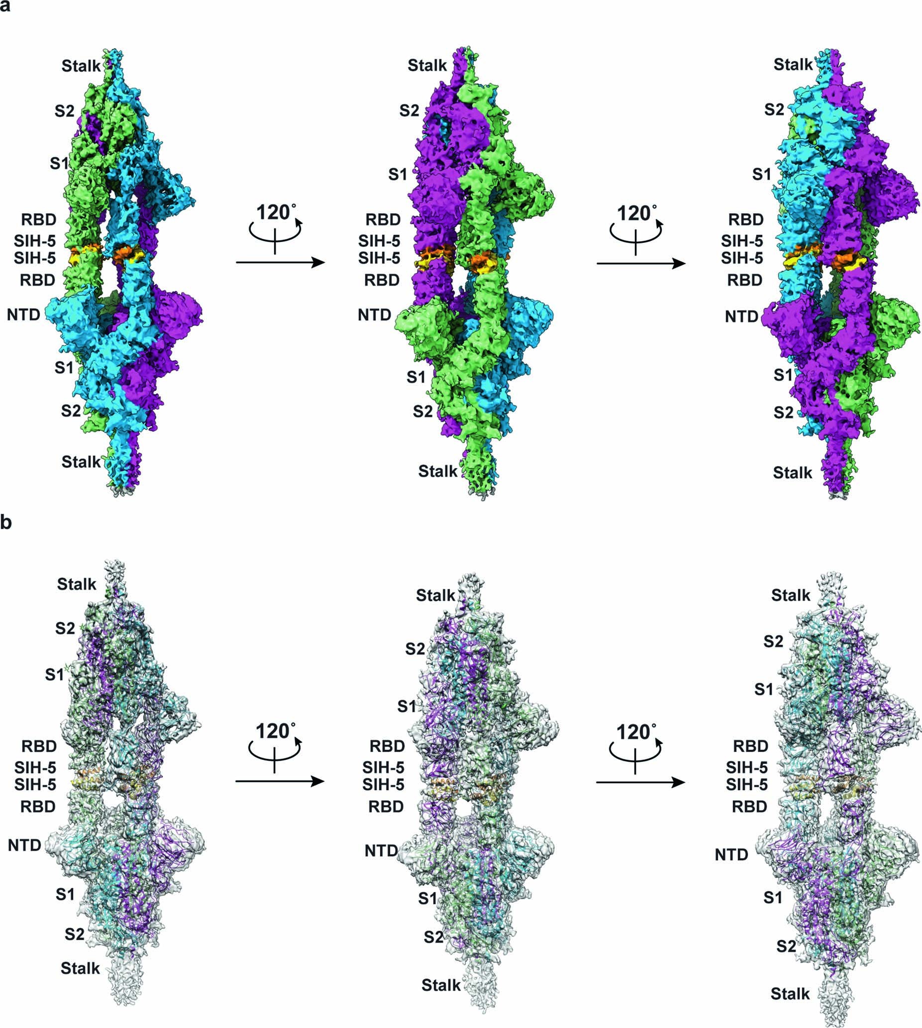 Extended Data Fig. 4