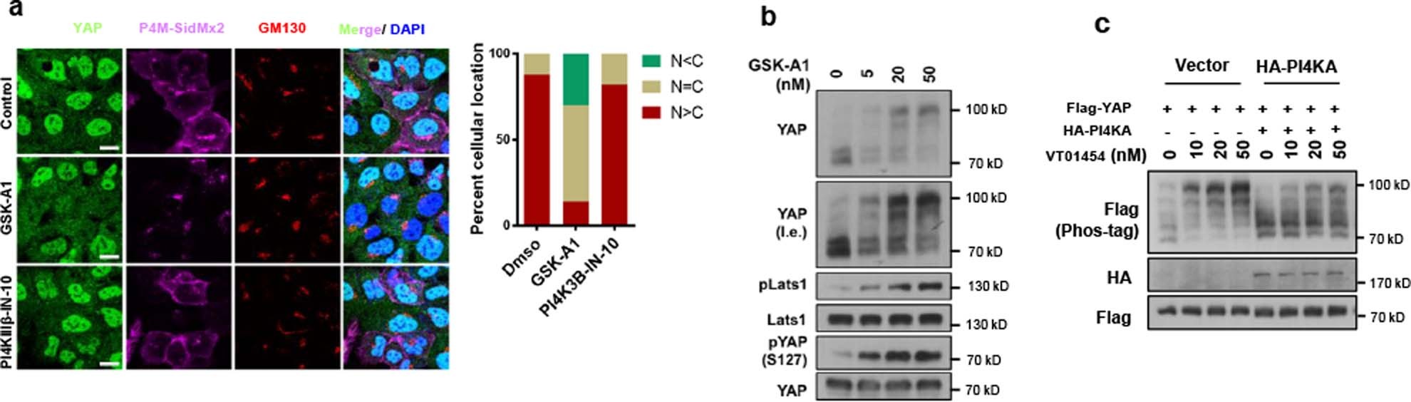 Extended Data Fig. 7