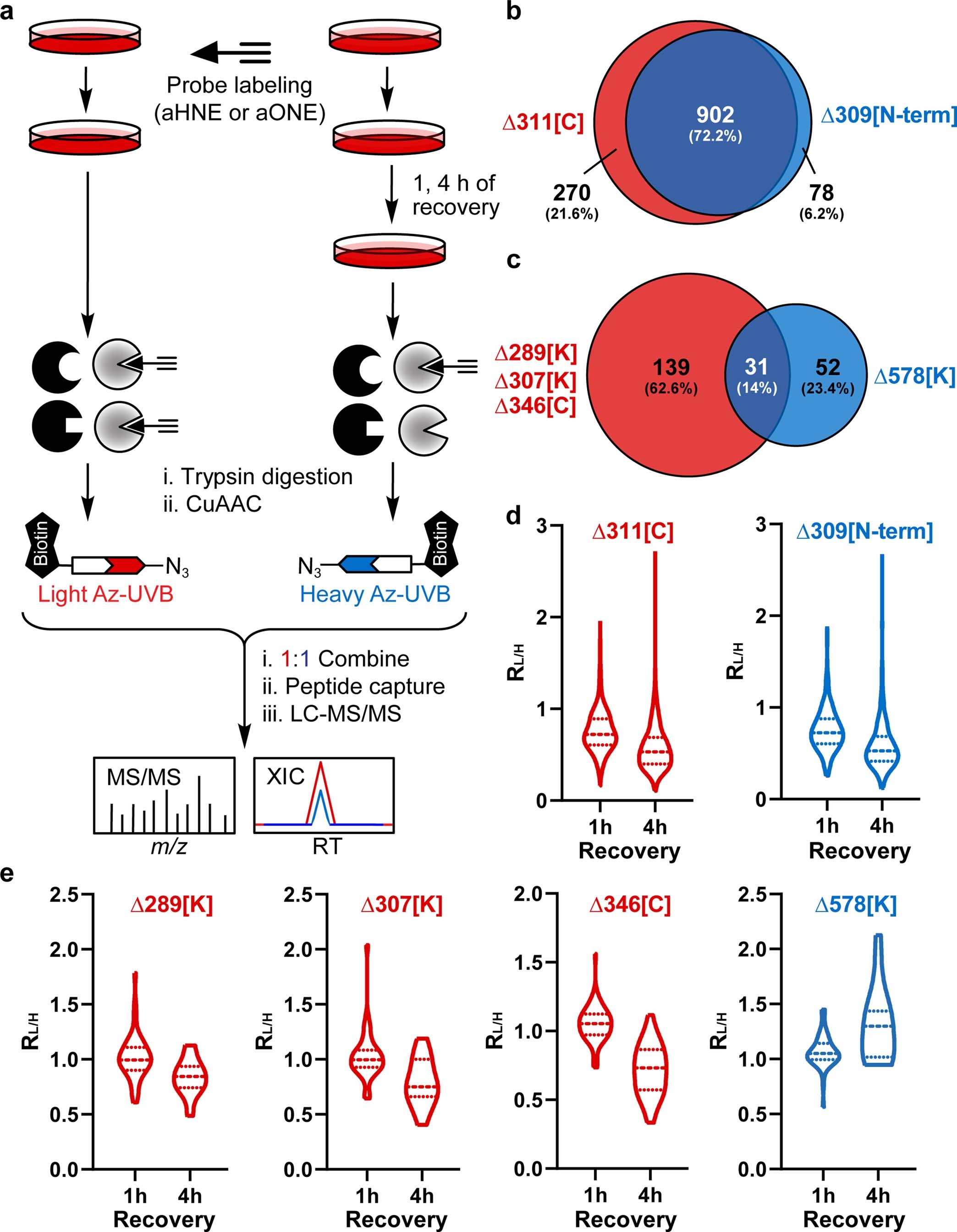 Extended Data Fig. 5: Re-analyses of protein adduction by aHNE and aONE in RKO cells.