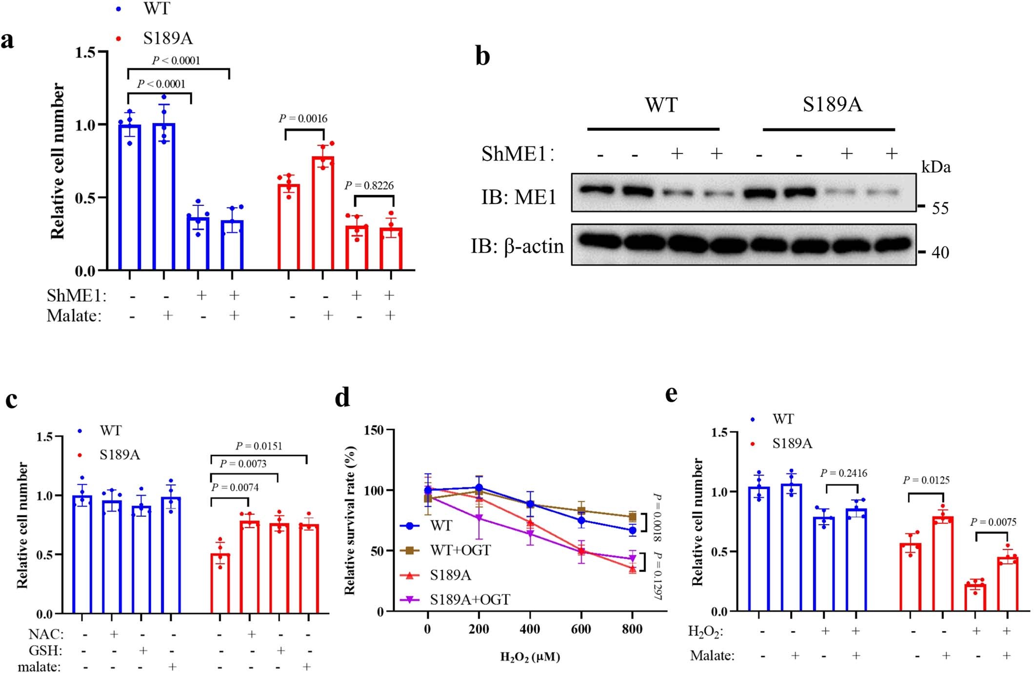 Extended Data Fig. 8