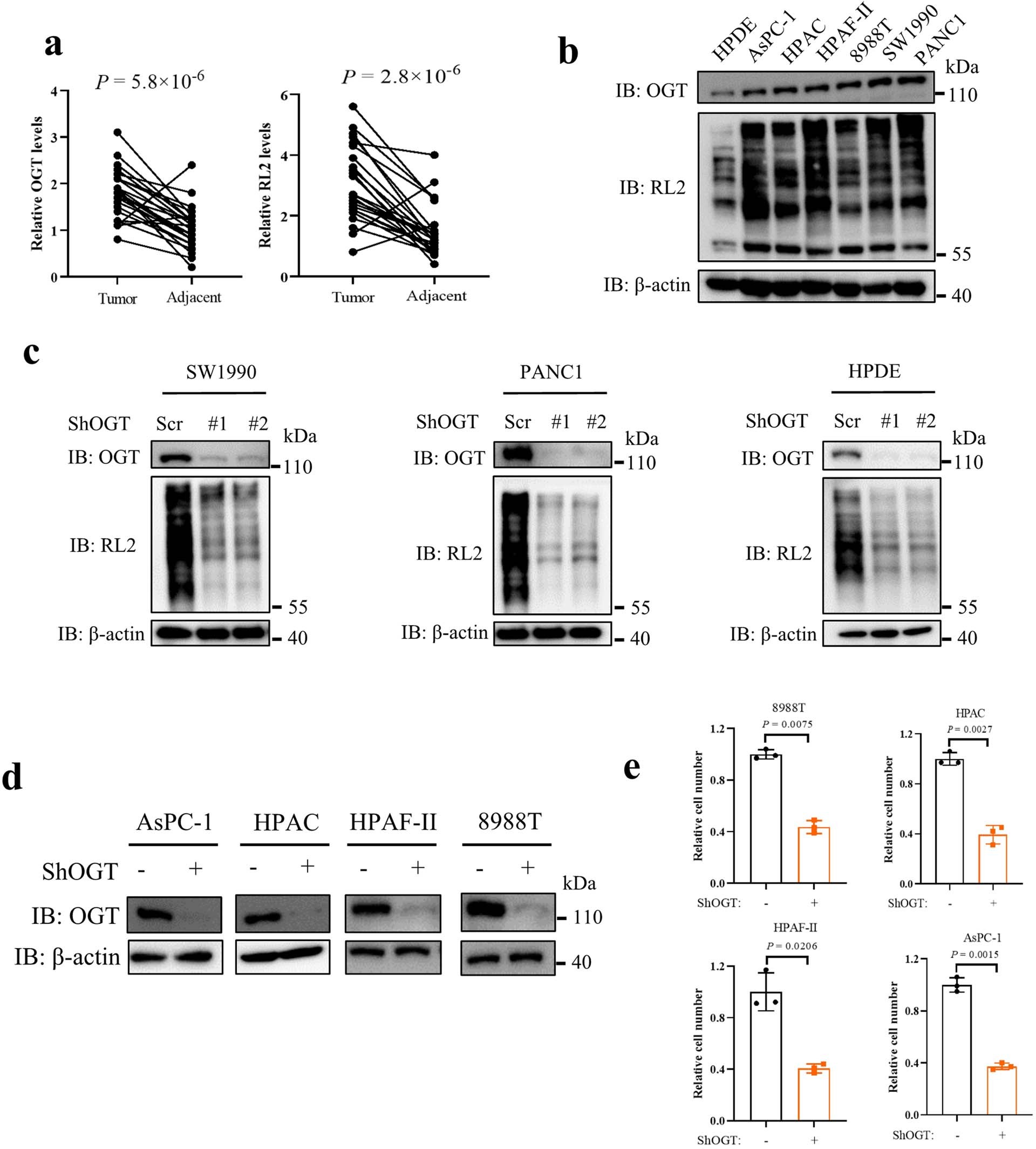 Extended Data Fig. 1