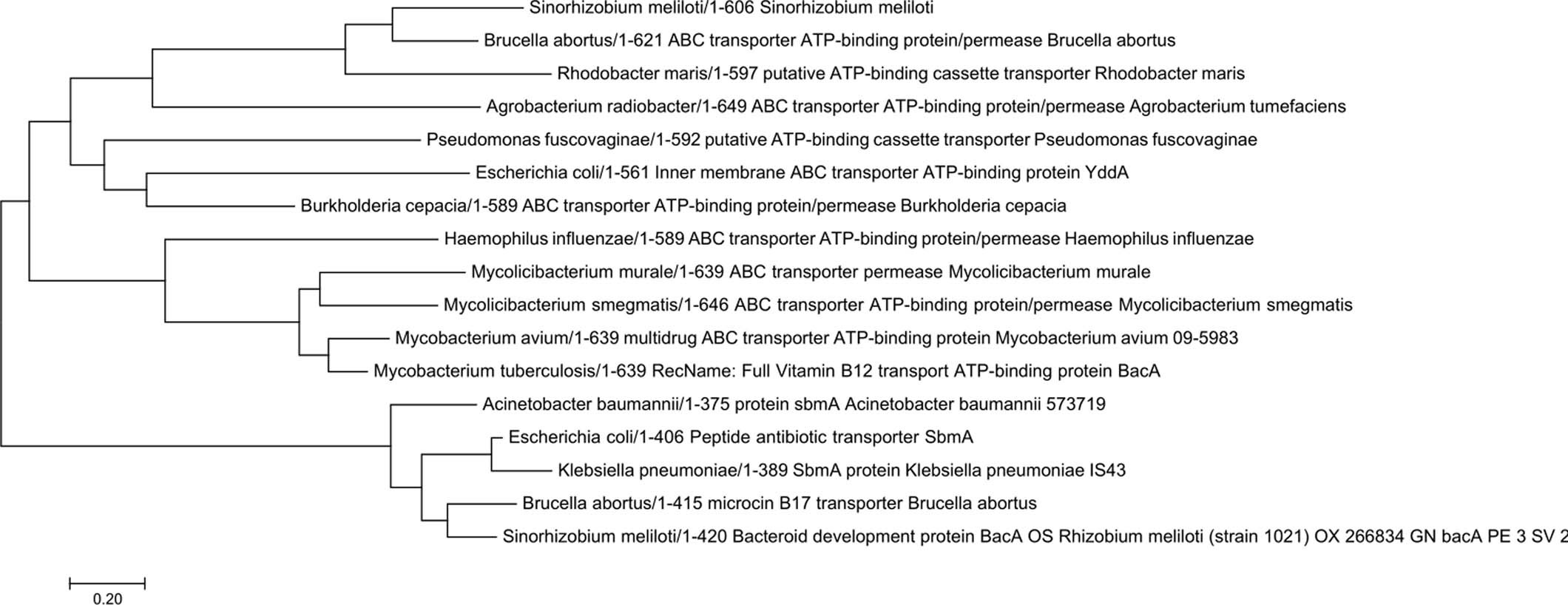 Extended Data Fig. 4