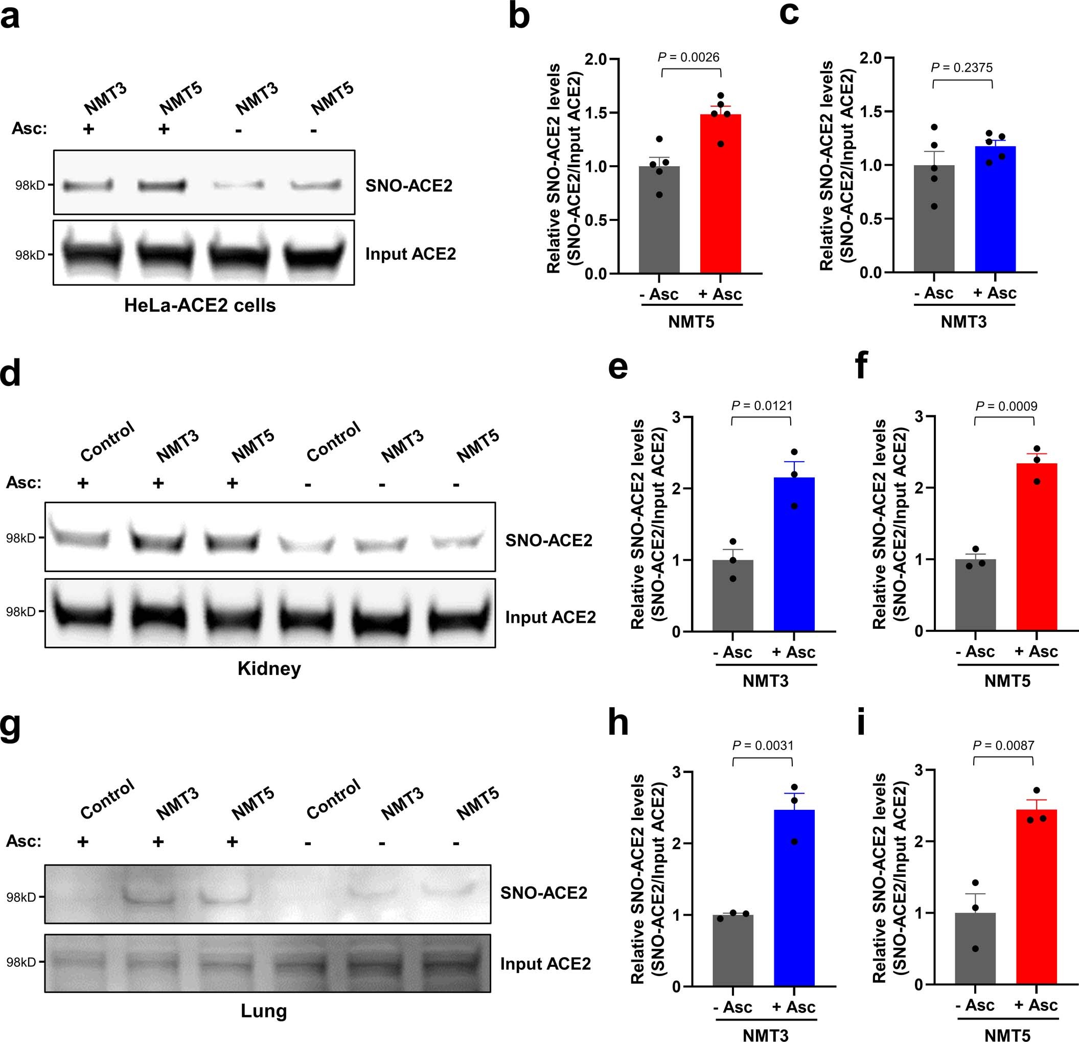 Extended Data Fig. 5