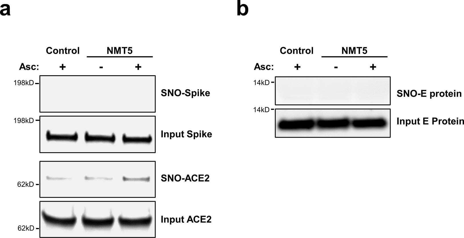 Extended Data Fig. 8