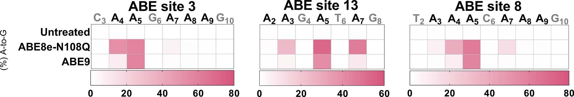 Extended Data Fig. 4: Editing activities comparison of ABE8e-N108Q and ABE9 in Hela cells.