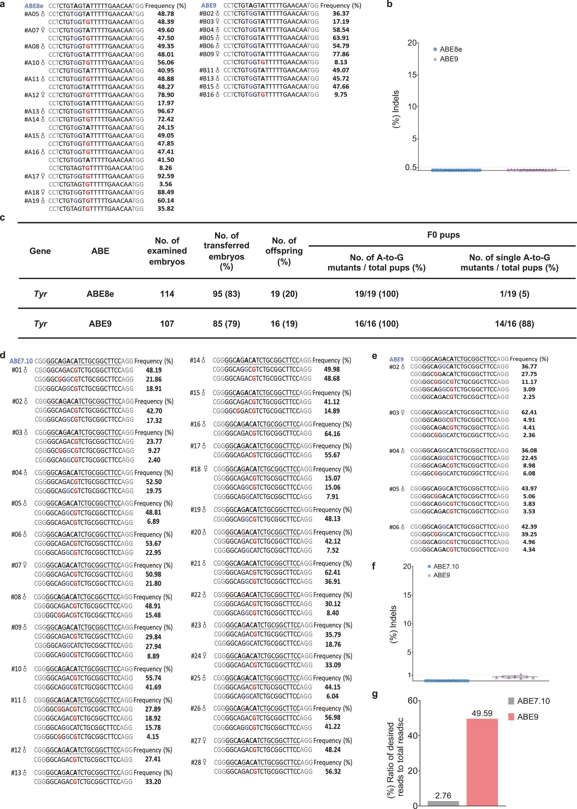 Extended Data Fig. 7: Highly efficient and precise editing by ABE9 in rodent embryos.