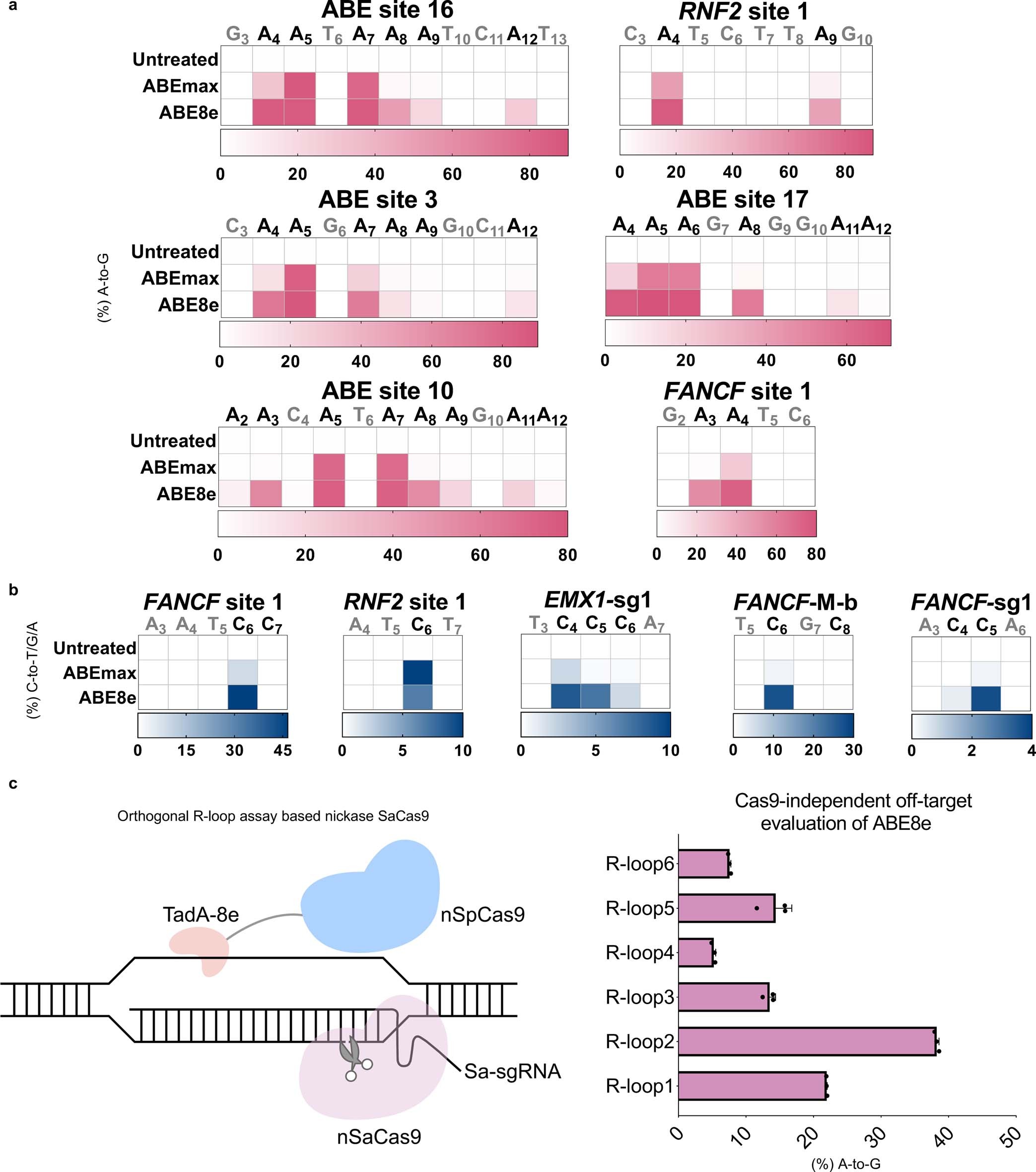 Extended Data Fig. 1: ABE8e induces severe bystander mutations and global random off-target editing.