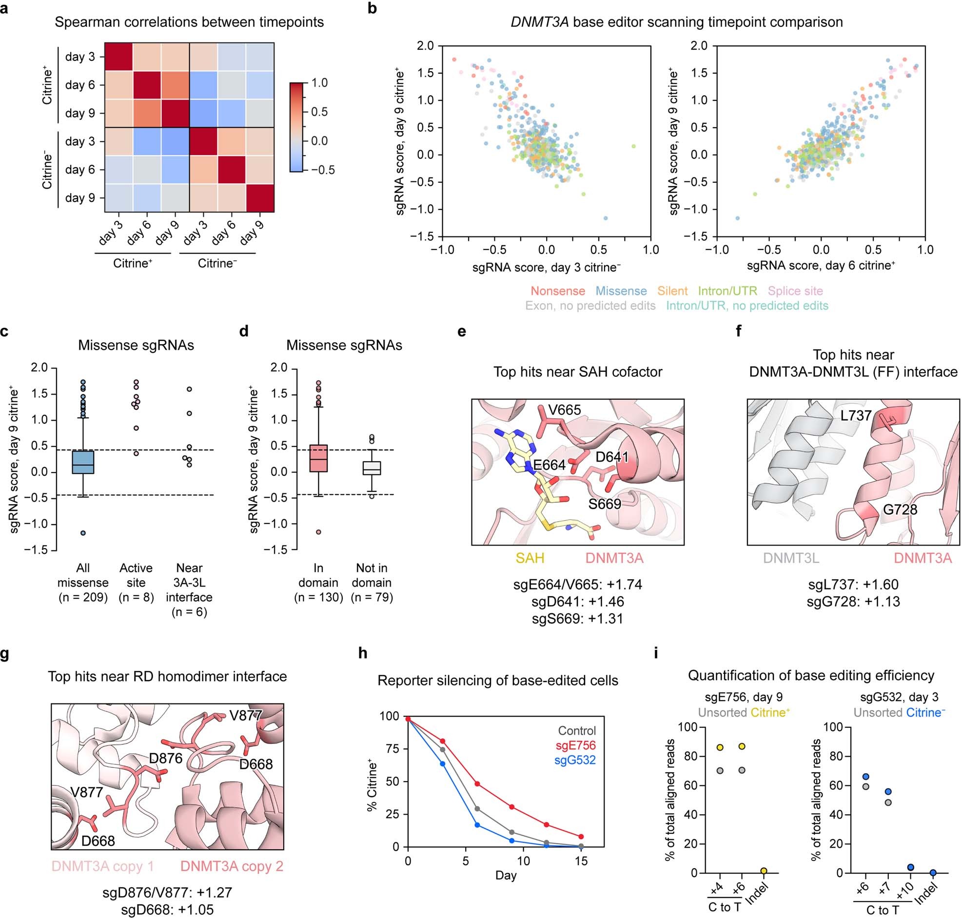Extended Data Fig. 2: Analysis and validation of DNMT3A base editor scanning results.
