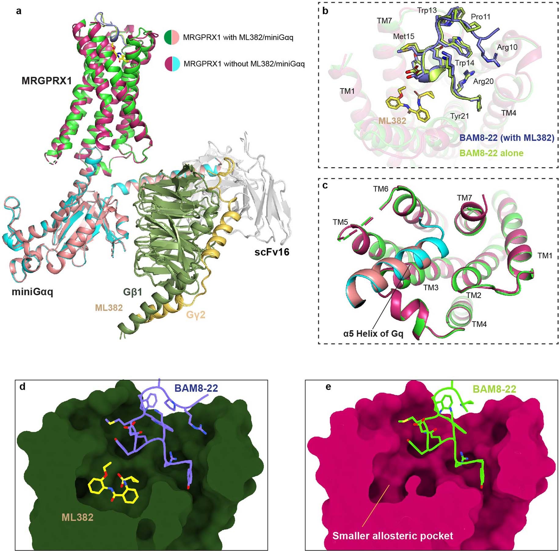 Extended Data Fig. 5: Structural comparison of the MRGPRX1-Gq-BAM8-22 complex with MRGPRX1-Gq-BAM8-22/ML382 complex.