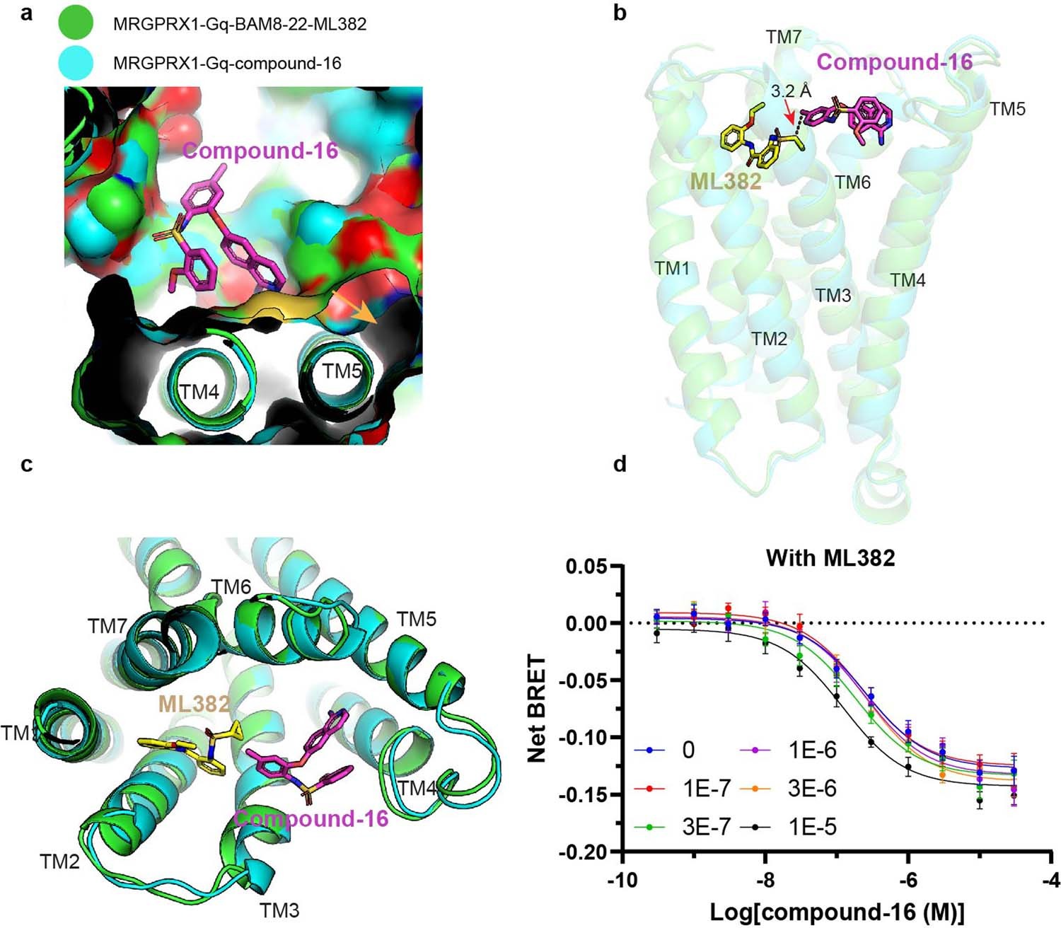 Extended Data Fig. 7: Structural comparison of MRGPRX1-Gq-compound-16 complex with MRGPRX1-Gq-BAM8-22/ML382 complex.