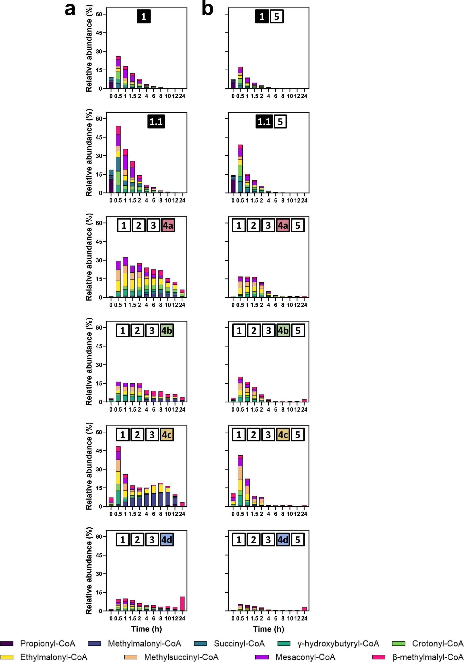 Extended Data Fig. 6: Relative accumulation of CoA intermediates in the feedback systems with and without module 5.