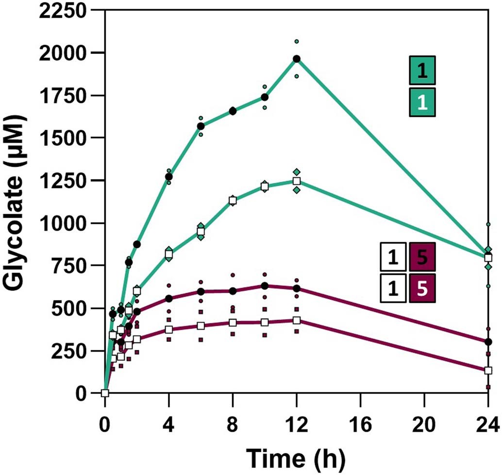 Extended Data Fig. 7: Glycolate production of module 1 in the presence or absence of module 5.