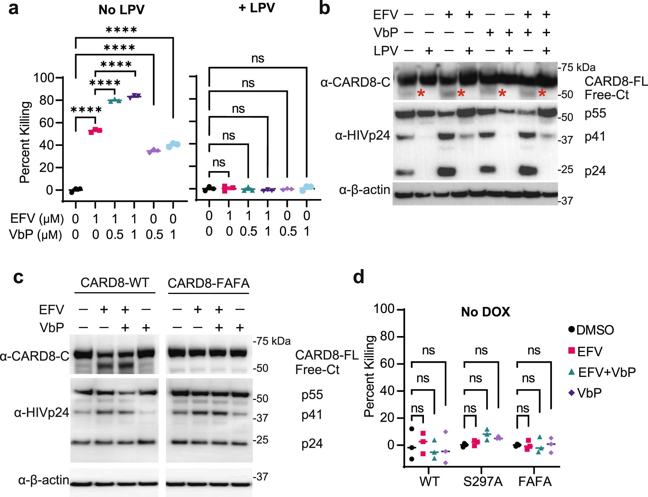 Extended Data Fig. 6