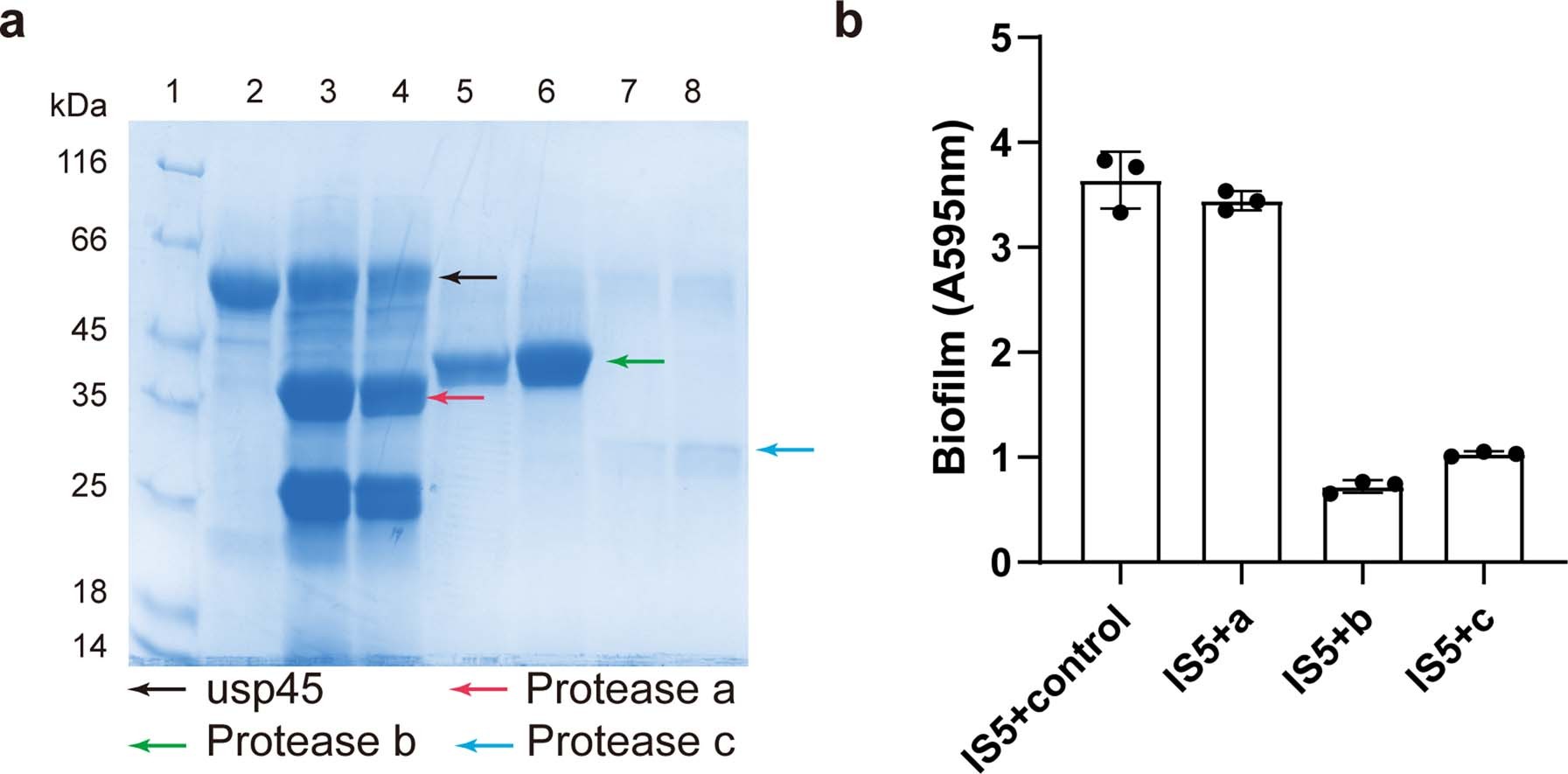 Extended Data Fig. 4