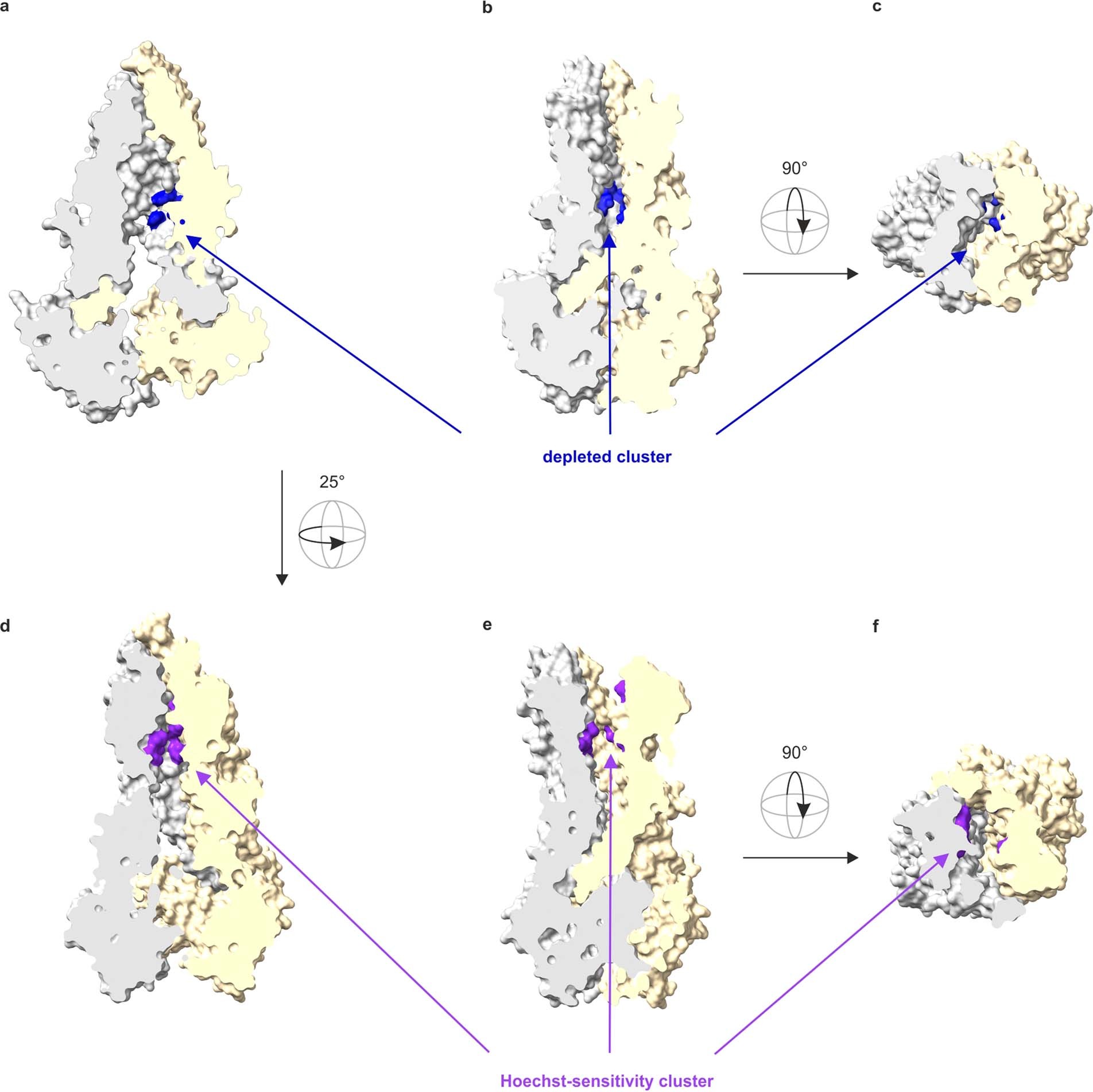 Extended Data Fig. 6