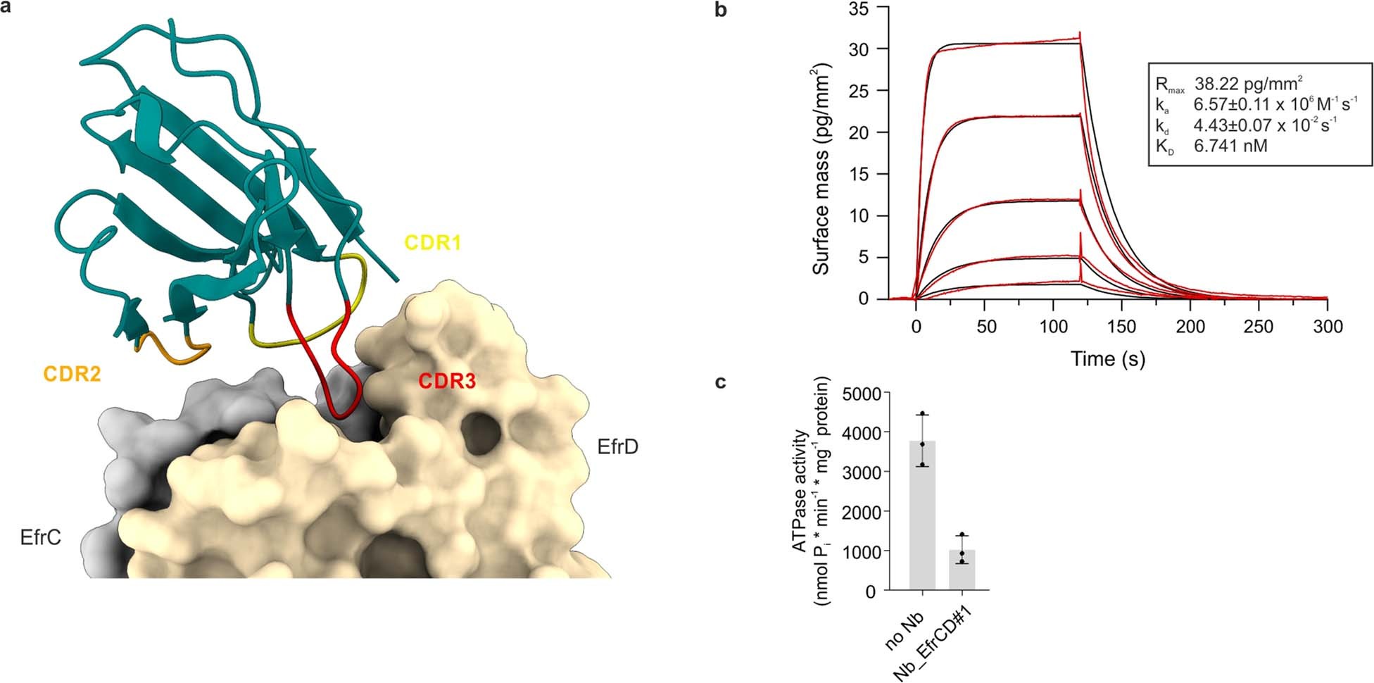 Extended Data Fig. 1