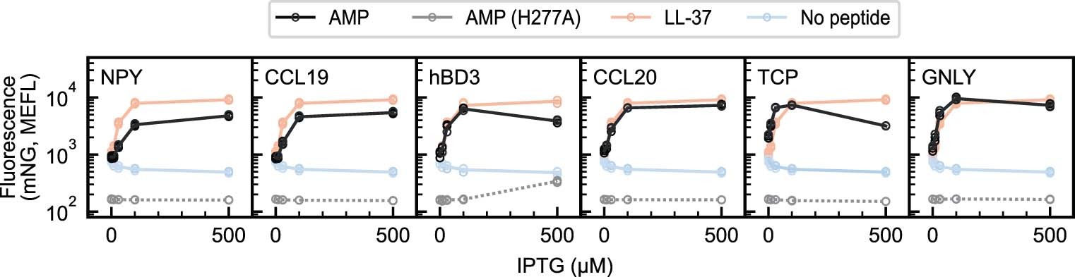 Extended Data Fig. 6: Single strain peptide display experiments validate non-cathelicidin activators identified in the sort-seq screen.