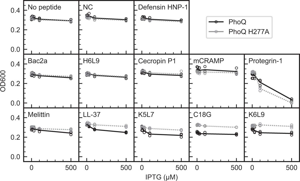 Extended Data Fig. 2: Most PhoQ-activating AMPs are not toxic when displayed on the E. coli outer membrane.