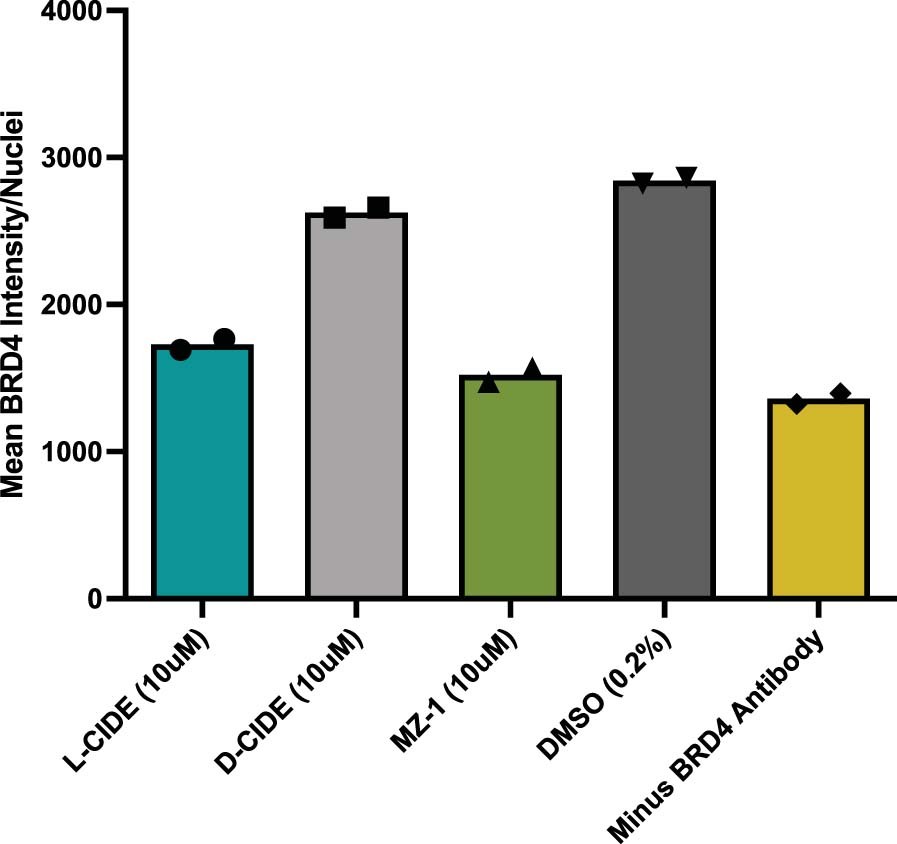 Extended Data Fig. 9: Controls for BRD4 degradation monitoring by immunofluorescence.