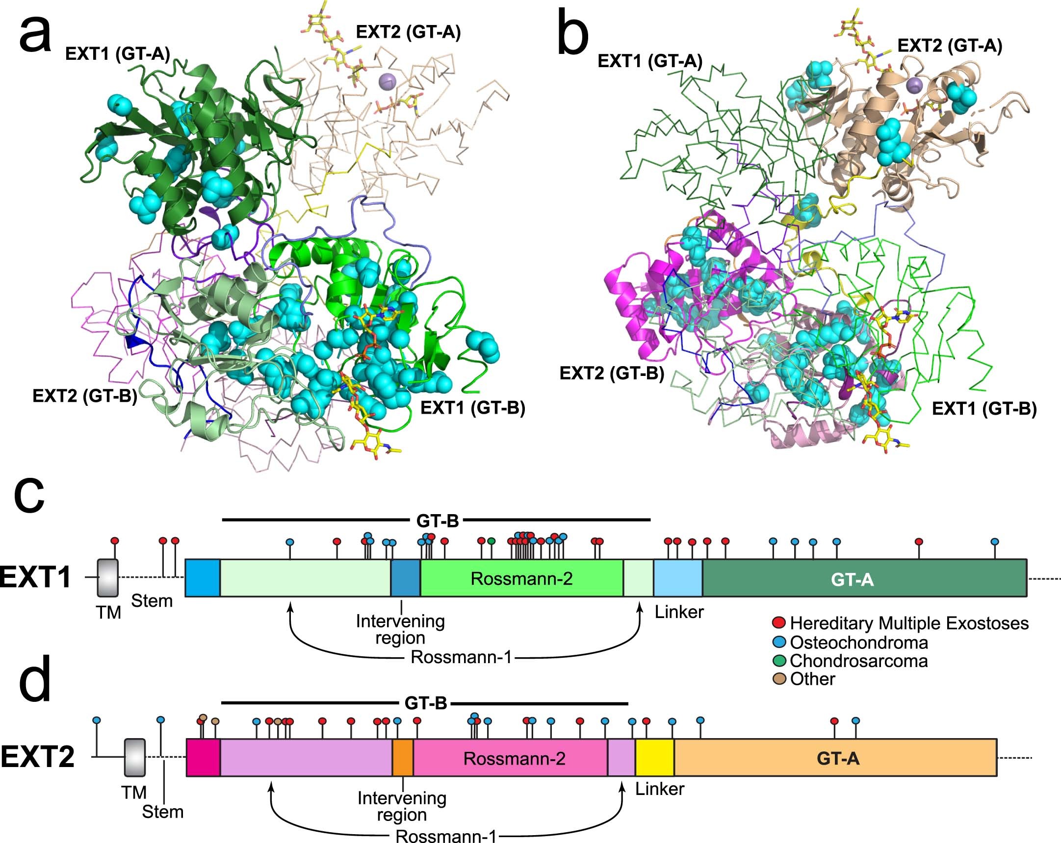 Extended Data Fig. 10