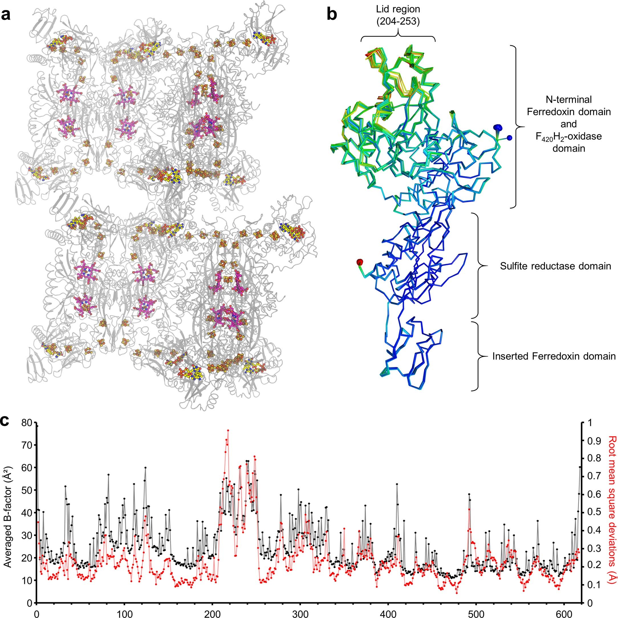 Extended Data Fig. 4: Asymmetric unit content and B-factor profile of MtFsr.