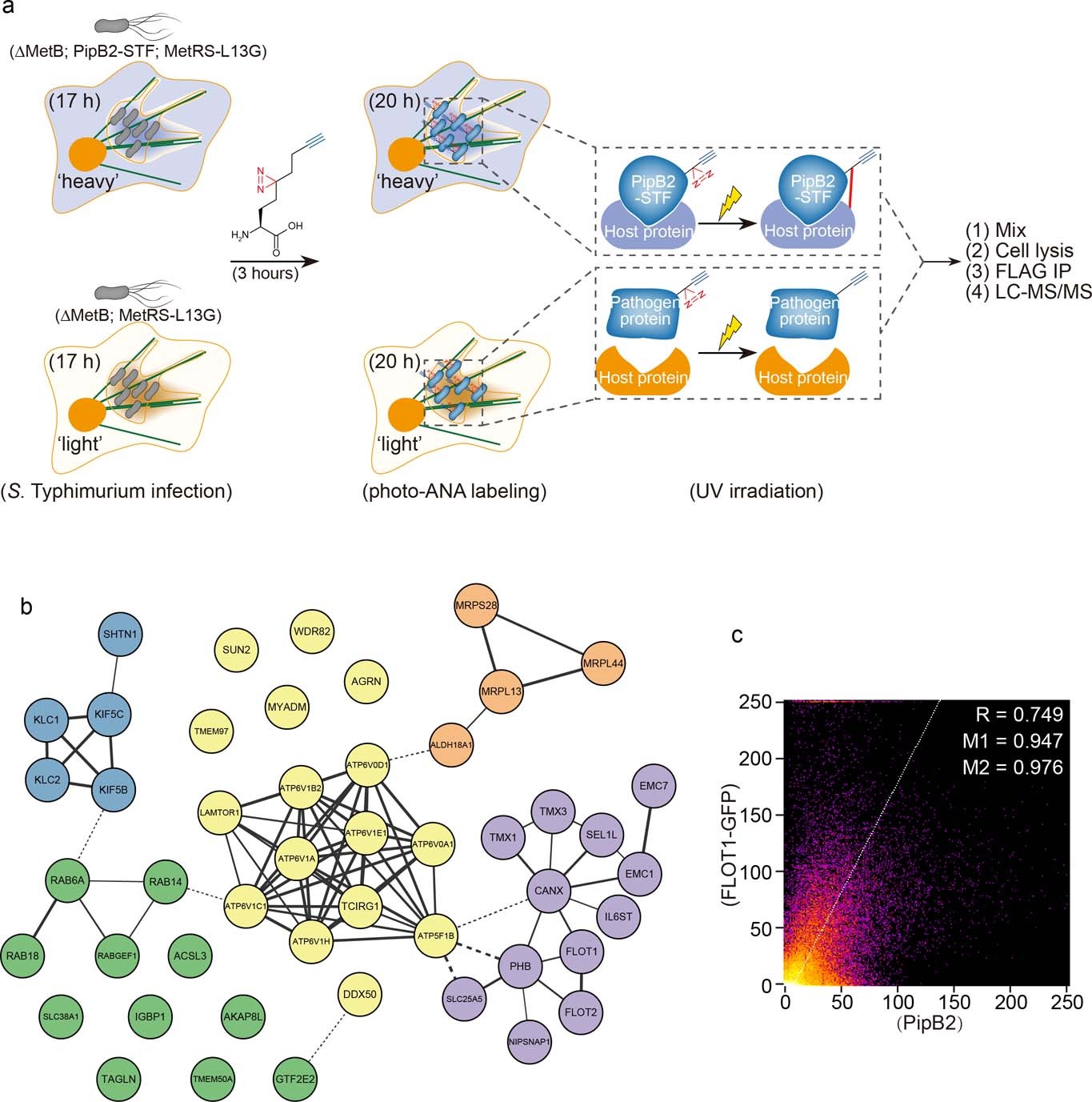 Extended Data Fig. 6