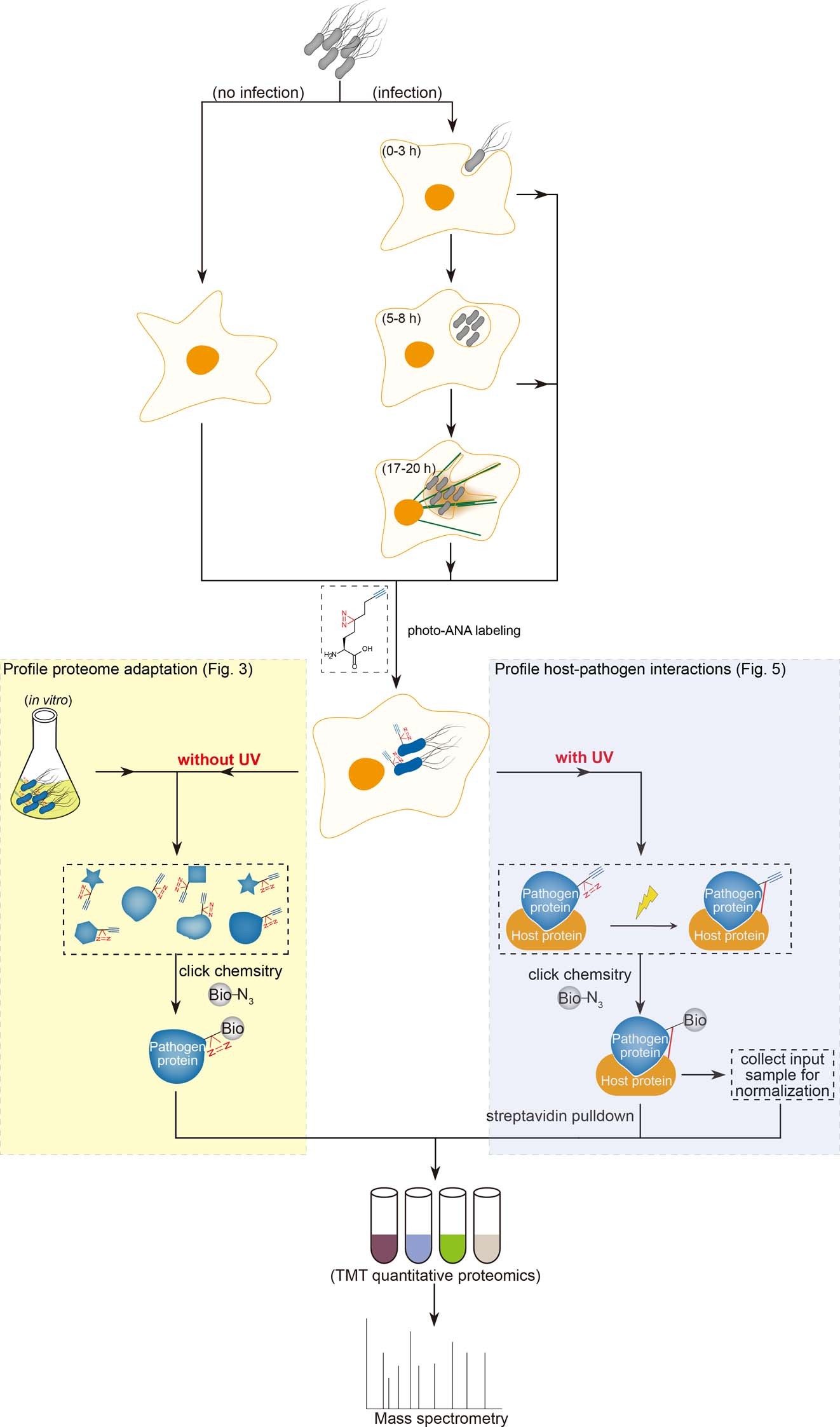 Extended Data Fig. 8