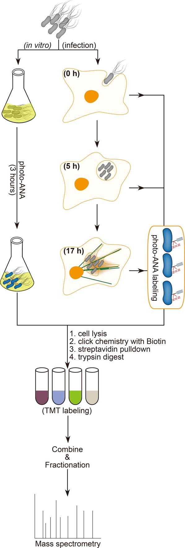 Extended Data Fig. 4