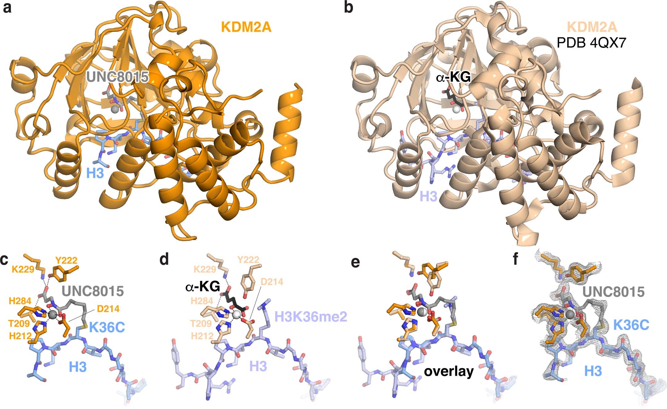 Extended Data Fig. 5