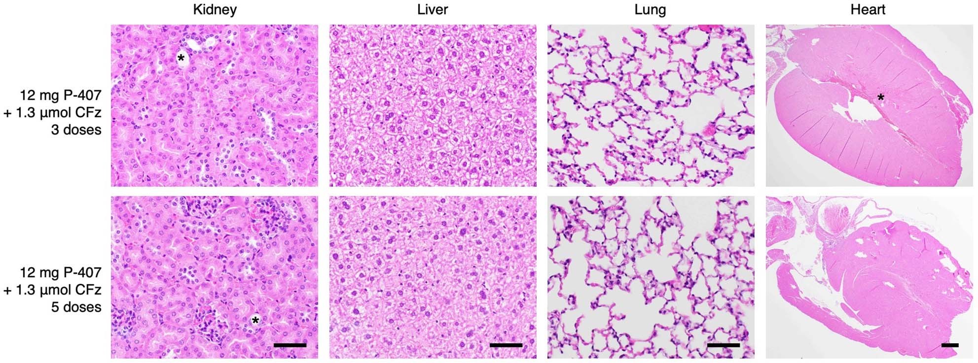 Extended Data Fig. 6