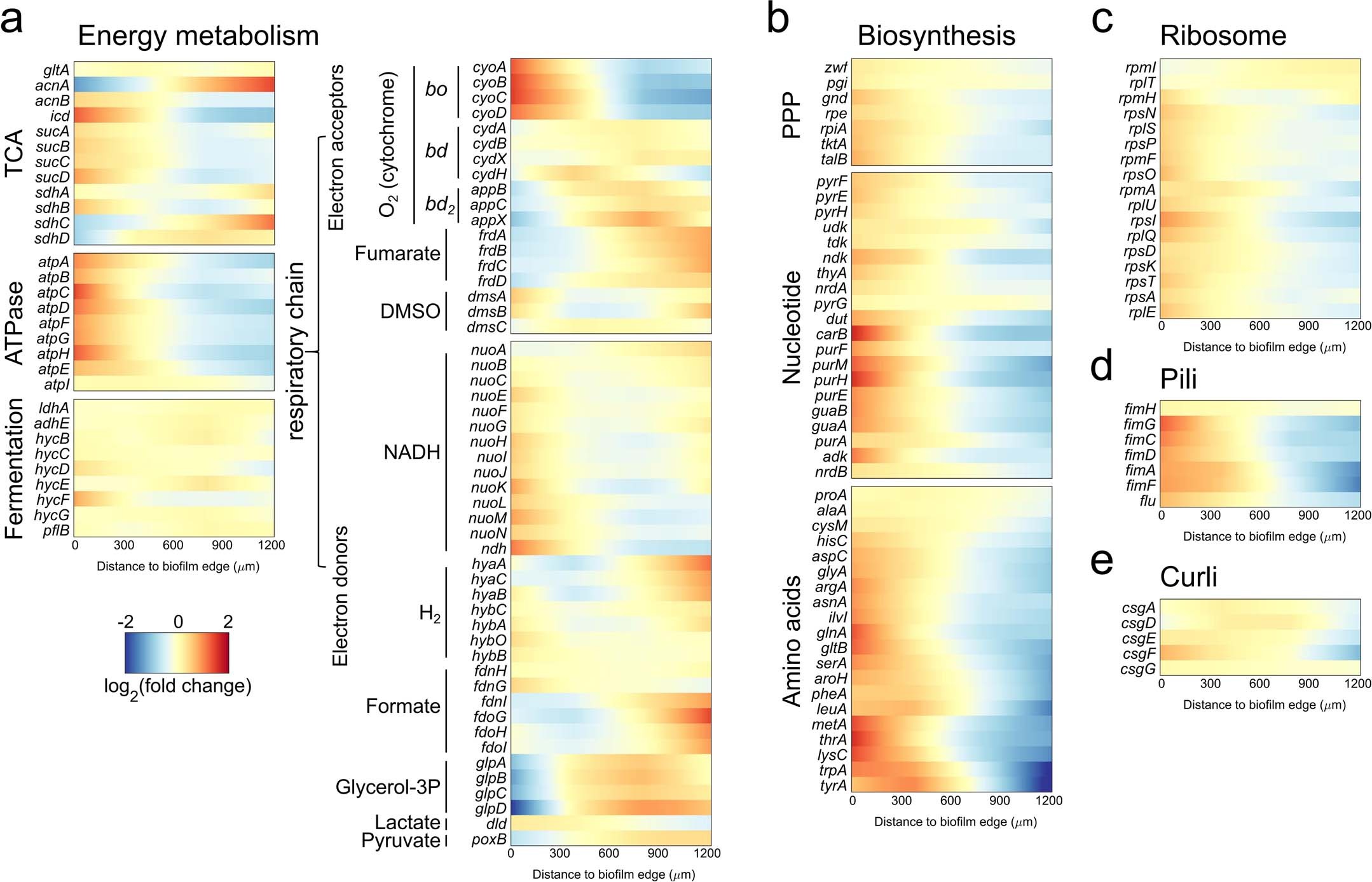 Extended Data Fig. 5