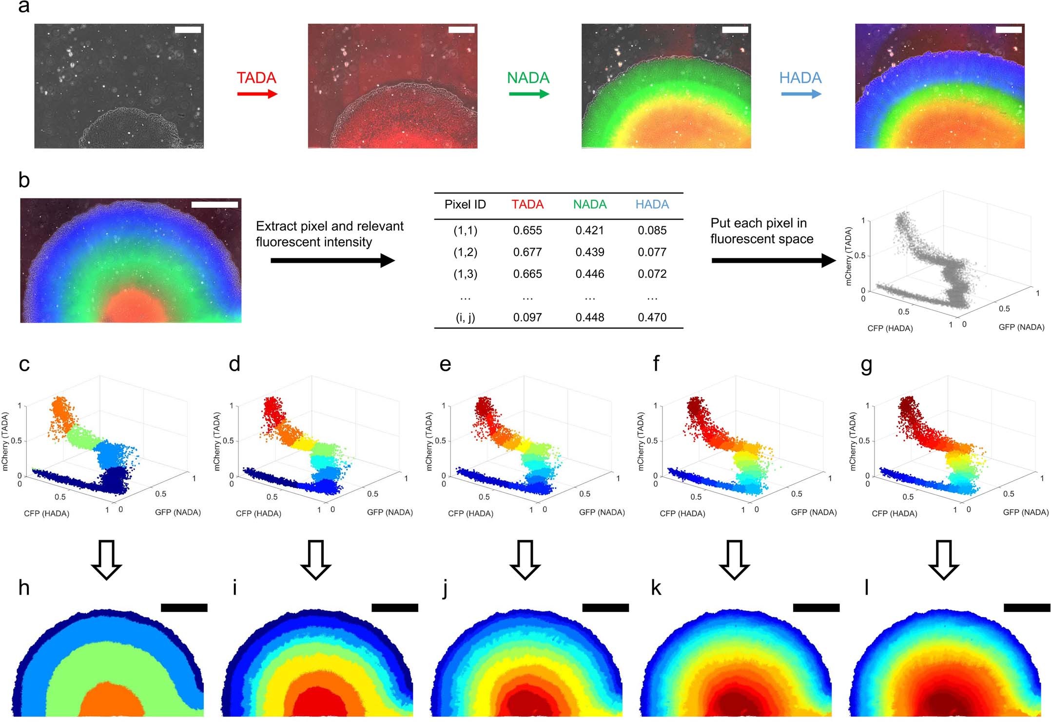 Extended Data Fig. 3