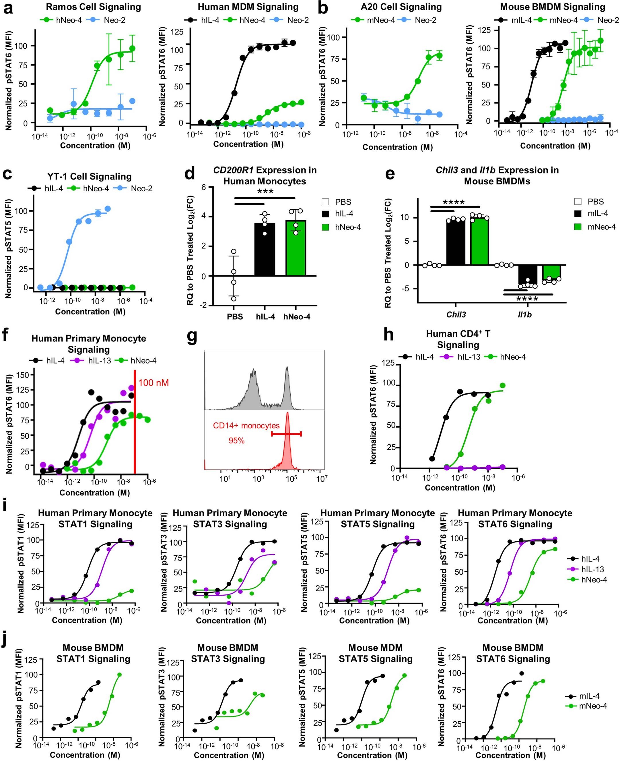 Extended Data Fig. 4: Characterization of Neo-4 bioactivity in vitro.