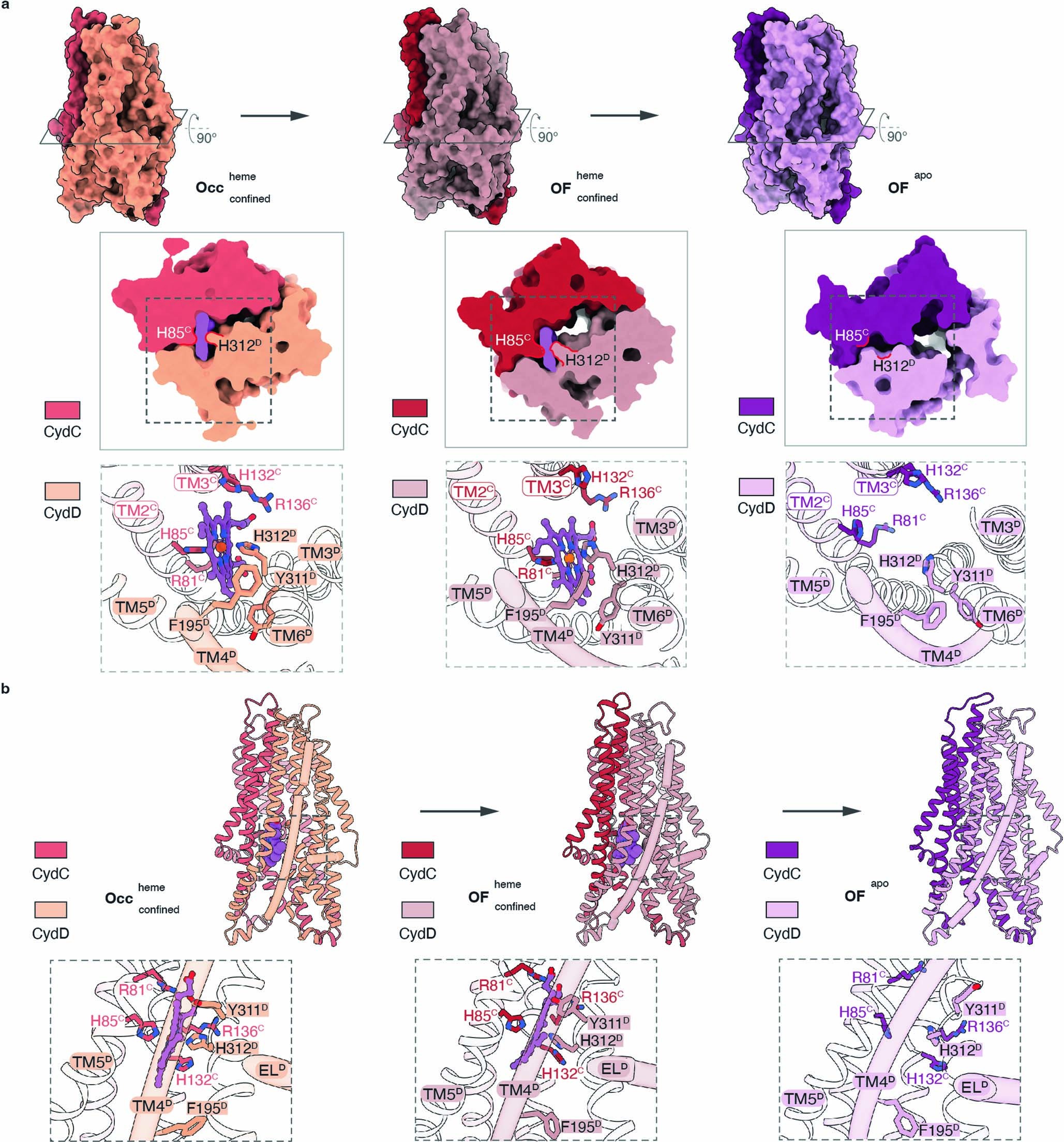 Extended Data Fig. 8