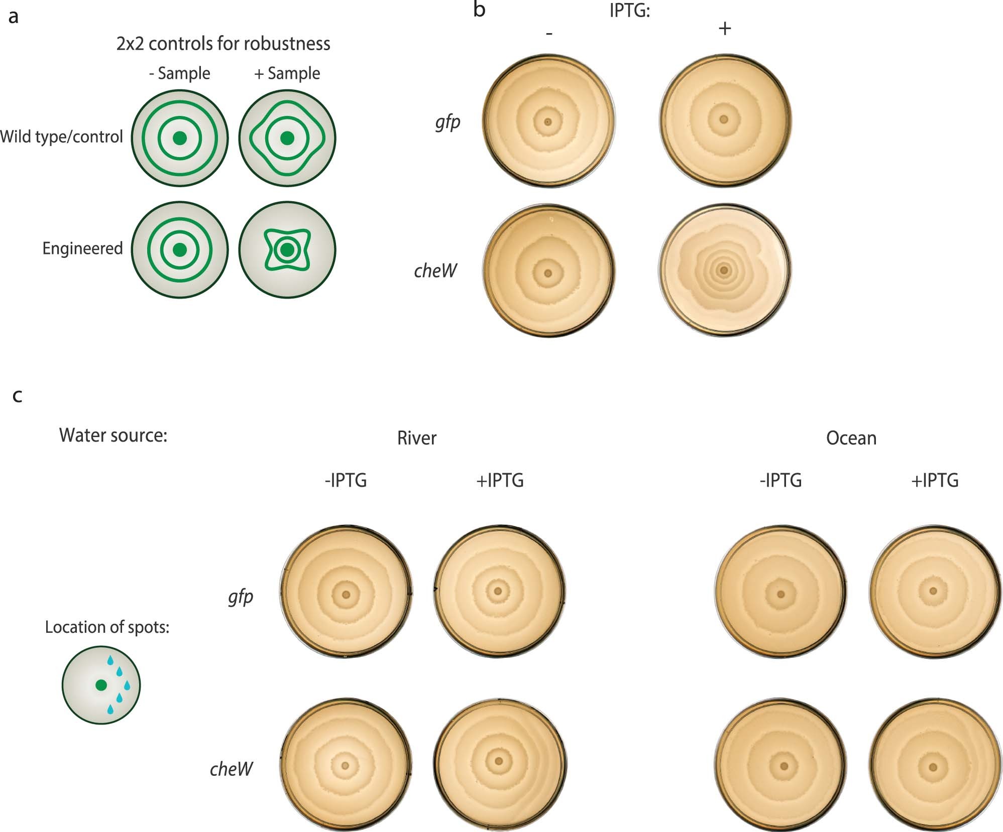 Extended Data Fig. 8