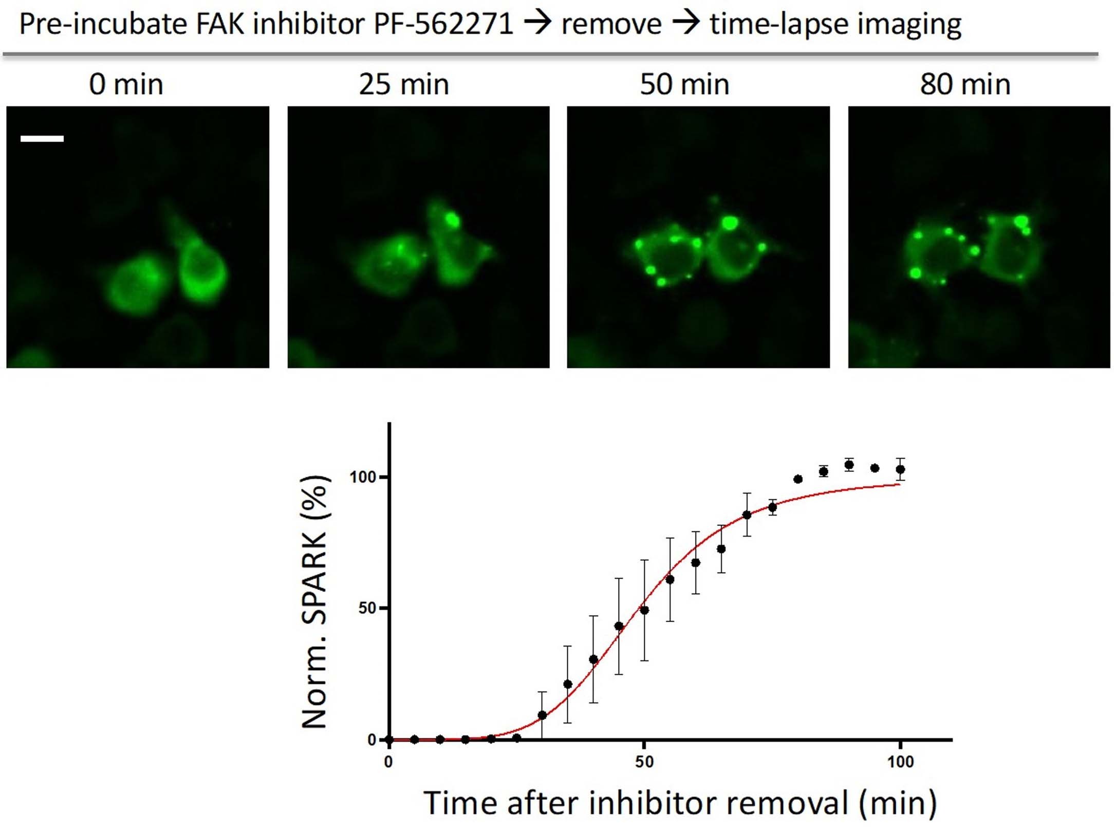 Extended Data Fig. 1