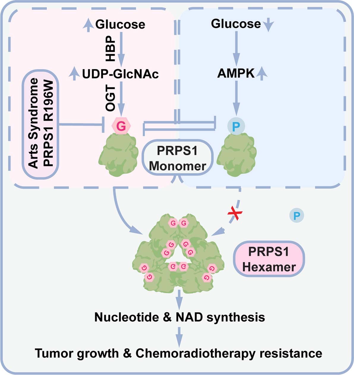 Extended Data Fig. 6